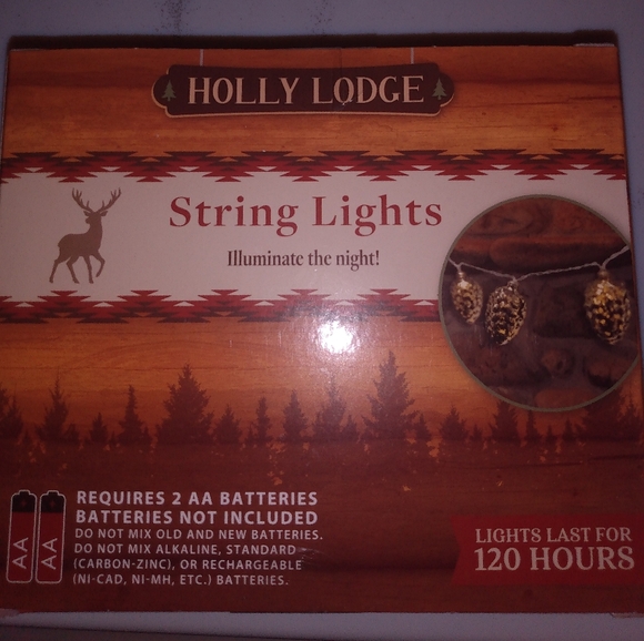 New acorn string lights 🍂 Fall Decor - Picture 2 of 2